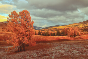 教程开挂辅助“欢聚娱乐有挂是真的吗”分享用挂教程