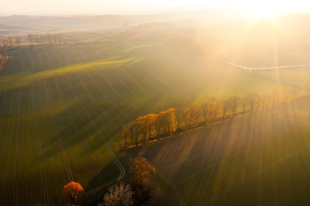 辅助神器“鸿运十三张开挂神器能开挂助赢控制”其实确实有挂