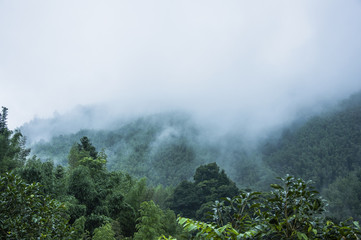 软件分享“微信麻将如何提高胜率”开挂(透视)辅助教程