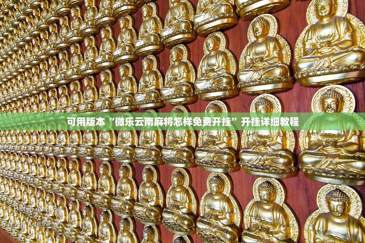 可用版本“微乐云南麻将怎样免费开挂	”开挂详细教程