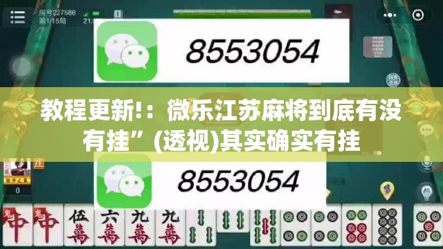 教程更新!：微乐江苏麻将到底有没有挂”(透视)其实确实有挂