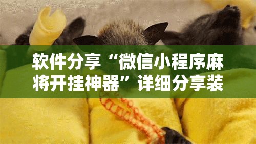 软件分享“微信小程序麻将开挂神器”详细分享装挂步骤