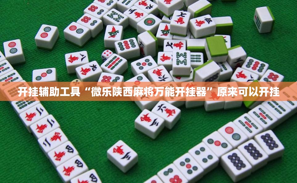 开挂辅助工具“微乐陕西麻将万能开挂器”原来可以开挂