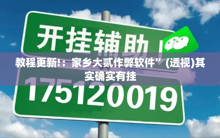 教程更新!：家乡大贰作弊软件”(透视)其实确实有挂