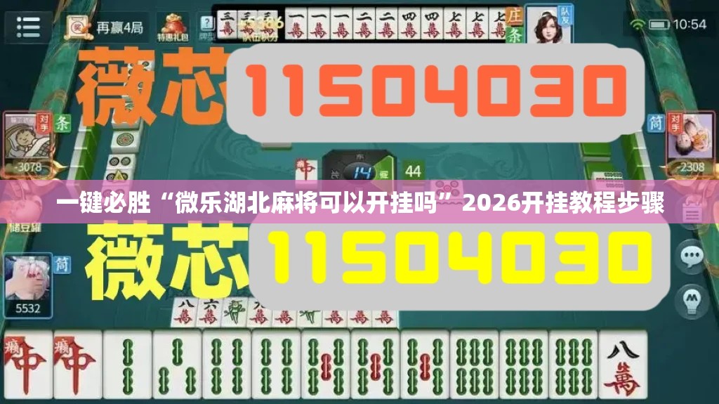 一键必胜“微乐湖北麻将可以开挂吗”2026开挂教程步骤