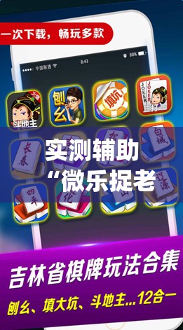 实测辅助“微乐捉老麻子开挂神器”开挂(透视)辅助神器