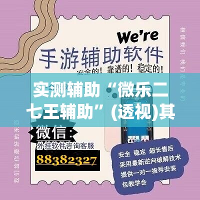实测辅助“微乐二七王辅助”(透视)其实确实有挂