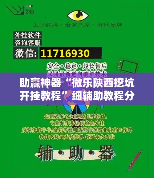 助赢神器“微乐陕西挖坑开挂教程”细辅助教程分享