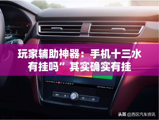 玩家辅助神器：手机十三水有挂吗”其实确实有挂