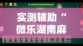 实测辅助“微乐湖南麻将三打哈有挂吗	”详细外挂透视辅助软件教程