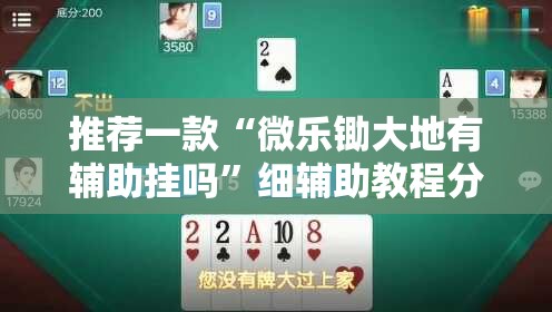 推荐一款“微乐锄大地有辅助挂吗”细辅助教程分享