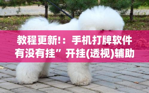 教程更新!：手机打牌软件有没有挂”开挂(透视)辅助神器