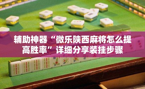 辅助神器“微乐陕西麻将怎么提高胜率”详细分享装挂步骤