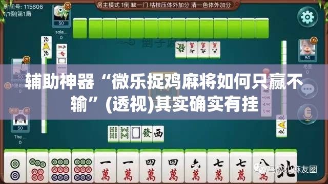 辅助神器“微乐捉鸡麻将如何只赢不输”(透视)其实确实有挂