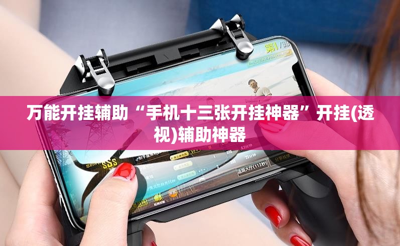 万能开挂辅助“手机十三张开挂神器”开挂(透视)辅助神器