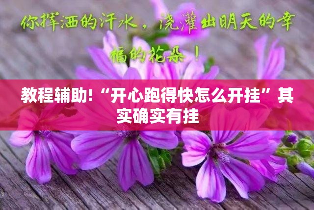 教程辅助!“开心跑得快怎么开挂”其实确实有挂