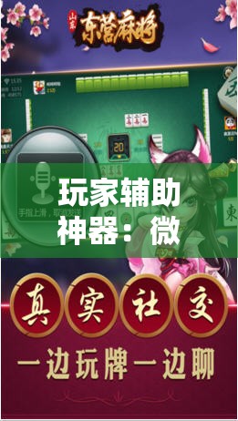 玩家辅助神器：微乐河北麻将外卦神器下载”其实确实有挂