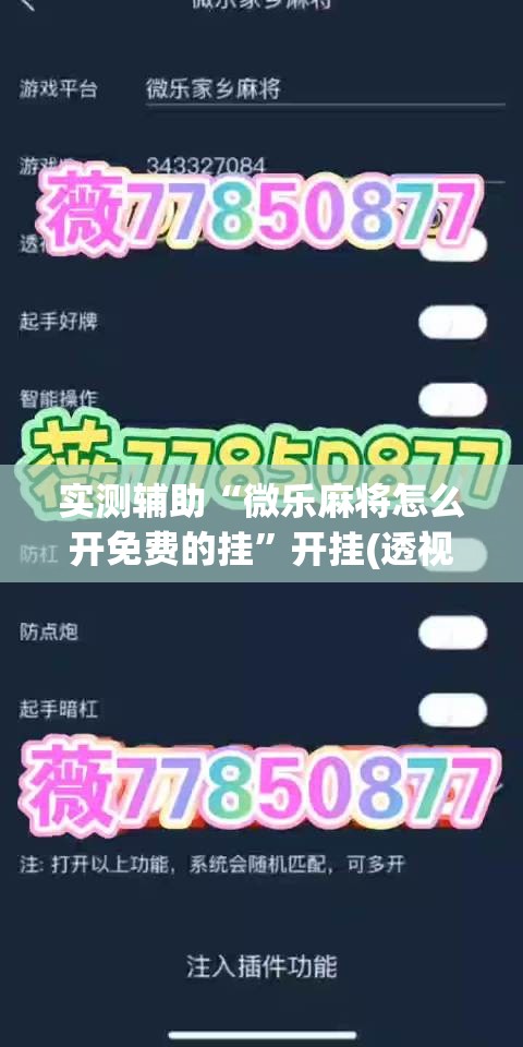 实测辅助“微乐麻将怎么开免费的挂”开挂(透视)辅助神器