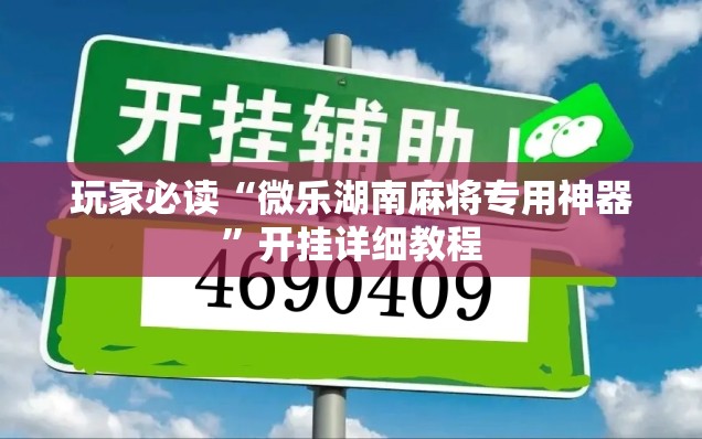 玩家必读“微乐湖南麻将专用神器”开挂详细教程