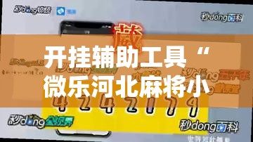 开挂辅助工具“微乐河北麻将小程序万能挂免费版	”其实确实有挂