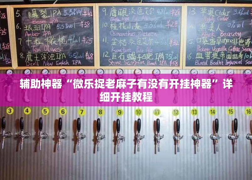 辅助神器“微乐捉老麻子有没有开挂神器”详细开挂教程