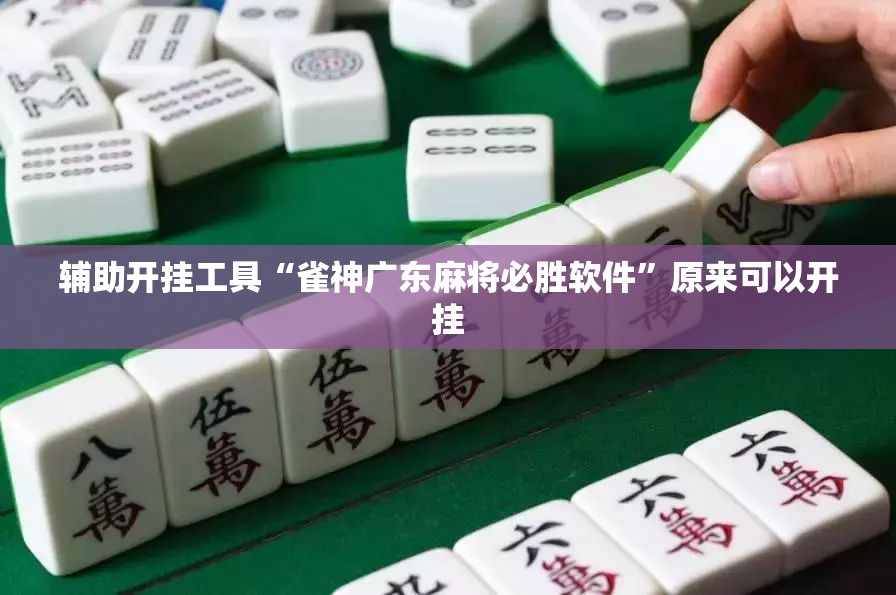 辅助开挂工具“雀神广东麻将必胜软件	”原来可以开挂
