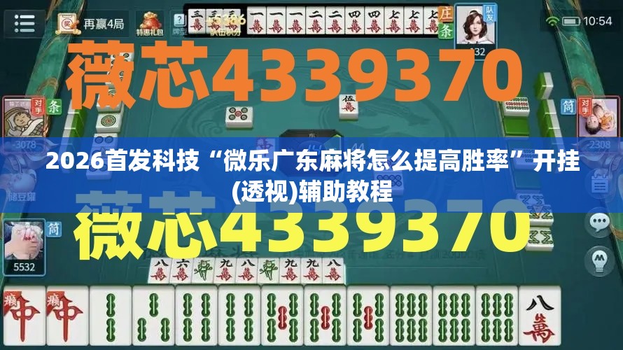 2026首发科技“微乐广东麻将怎么提高胜率	”开挂(透视)辅助教程