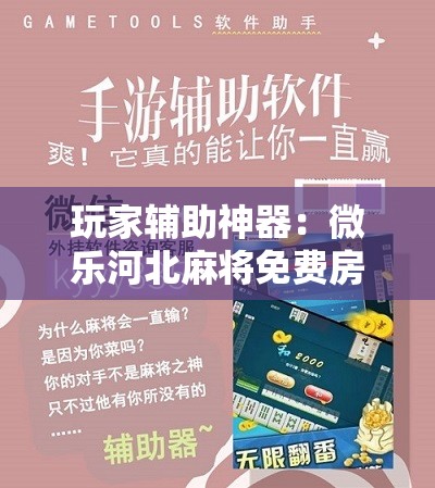 玩家辅助神器：微乐河北麻将免费房间怎么开挂	”其实确实有挂