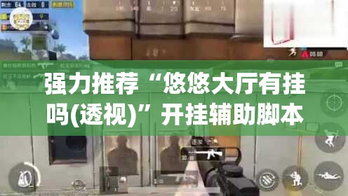 强力推荐“悠悠大厅有挂吗(透视)	”开挂辅助脚本+详细开挂安装教程