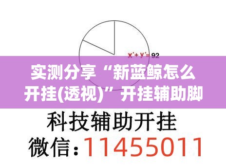 实测分享“新蓝鲸怎么开挂(透视)”开挂辅助脚本+详细开挂安装教程