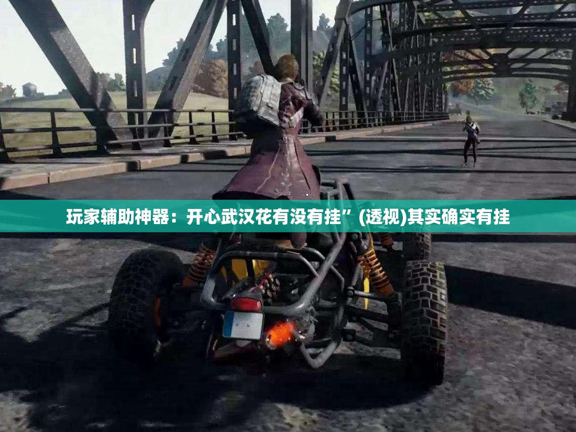 玩家辅助神器：开心武汉花有没有挂	”(透视)其实确实有挂