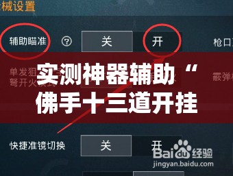 实测神器辅助“佛手十三道开挂辅助软件”开挂详细教程