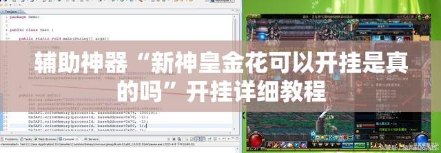 辅助神器“新神皇金花可以开挂是真的吗”开挂详细教程