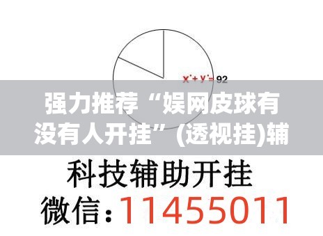强力推荐“娱网皮球有没有人开挂”(透视挂)辅助下载教程