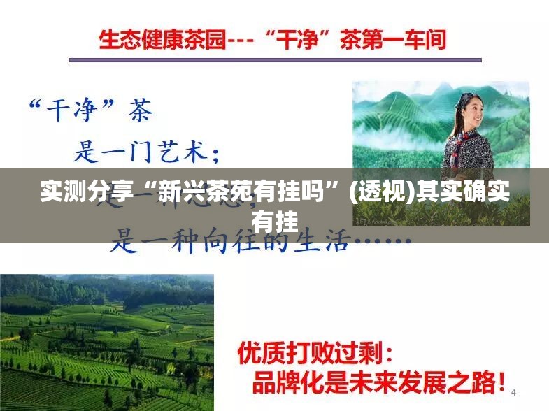 实测分享“新兴茶苑有挂吗”(透视)其实确实有挂