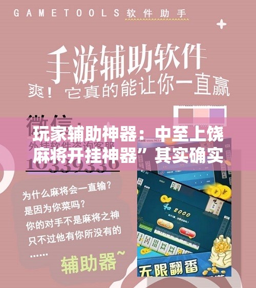 玩家辅助神器：中至上饶麻将开挂神器	”其实确实有挂
