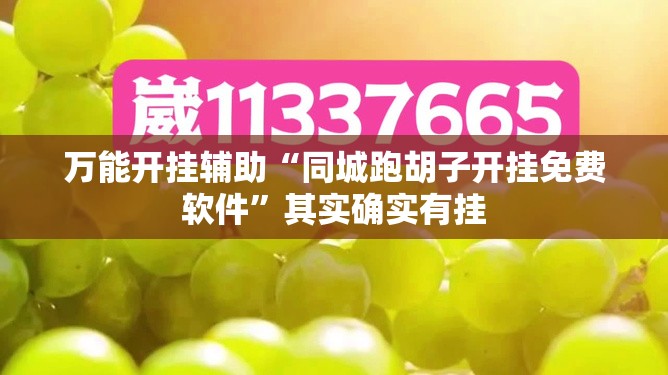 万能开挂辅助“同城跑胡子开挂免费软件	”其实确实有挂
