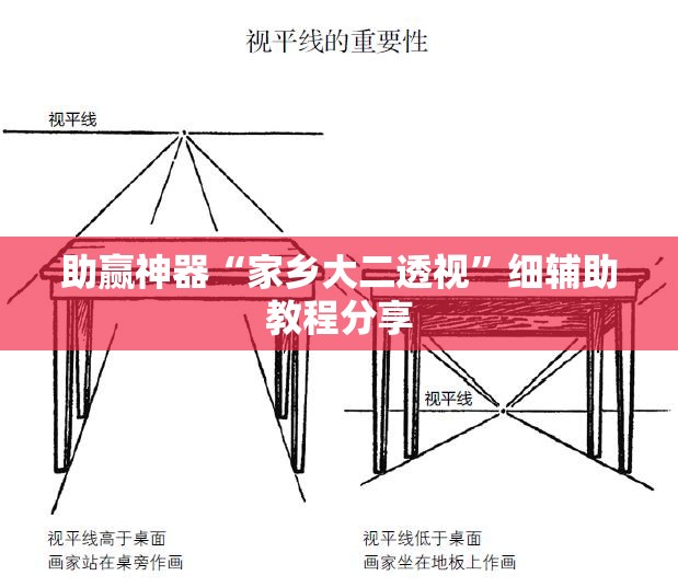 助赢神器“家乡大二透视	”细辅助教程分享
