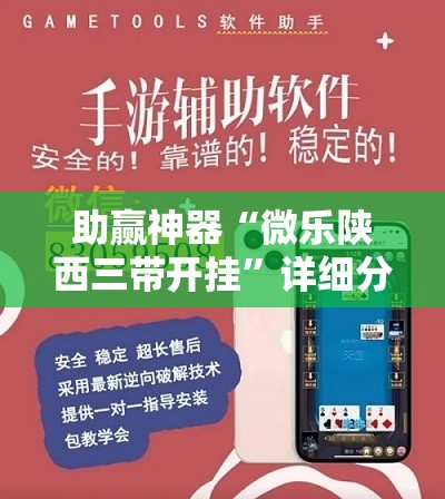 助赢神器“微乐陕西三带开挂”详细分享装挂步骤