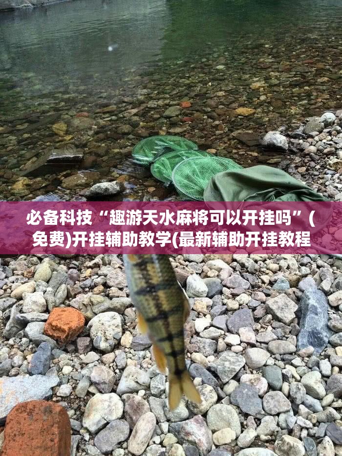 必备科技“趣游天水麻将可以开挂吗”(免费)开挂辅助教学(最新辅助开挂教程)