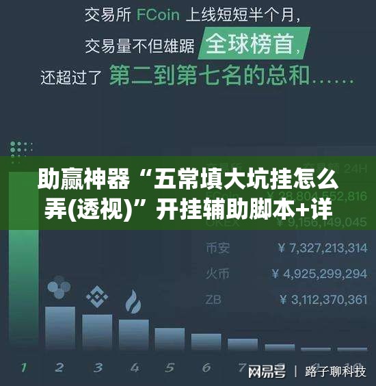 助赢神器“五常填大坑挂怎么弄(透视)”开挂辅助脚本+详细开挂安装教程