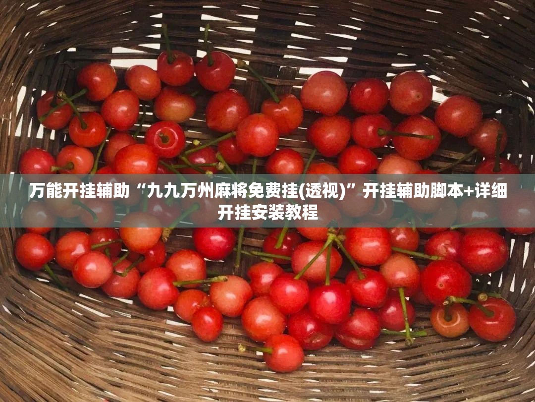 万能开挂辅助“九九万州麻将免费挂(透视)”开挂辅助脚本+详细开挂安装教程
