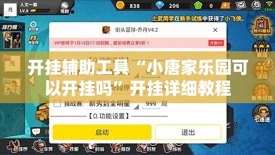 开挂辅助工具“小唐家乐园可以开挂吗”开挂详细教程