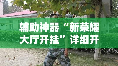 辅助神器“新荣耀大厅开挂	”详细开挂教程