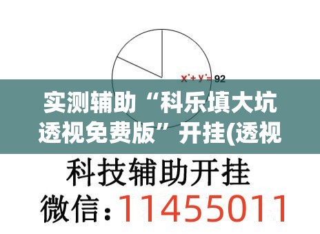 实测辅助“科乐填大坑透视免费版”开挂(透视)辅助神器