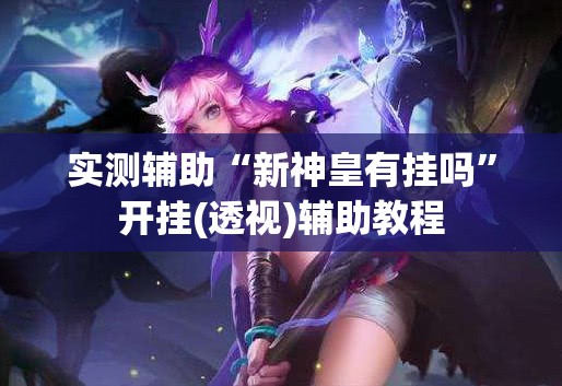实测辅助“新神皇有挂吗”开挂(透视)辅助教程