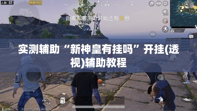 实测辅助“新神皇有挂吗”开挂(透视)辅助教程