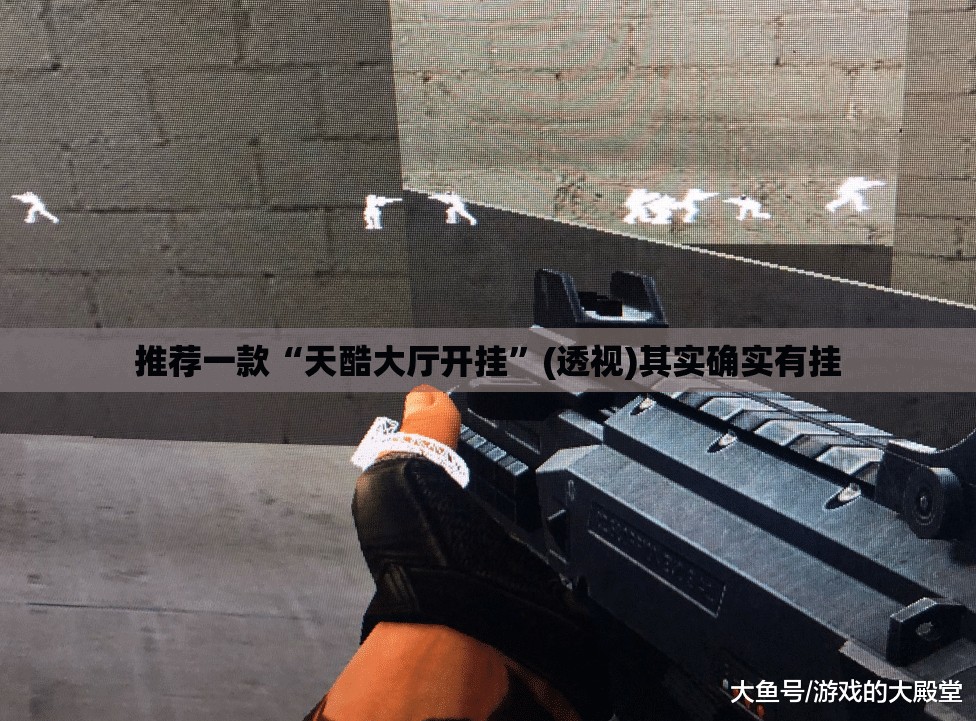 推荐一款“天酷大厅开挂”(透视)其实确实有挂