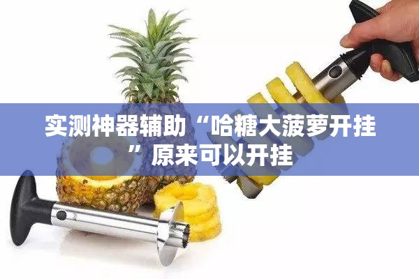 实测神器辅助“哈糖大菠萝开挂	”原来可以开挂