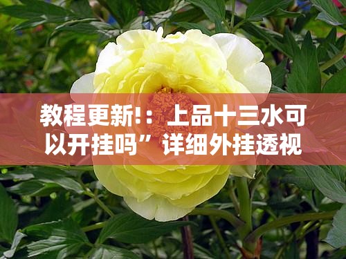 教程更新!：上品十三水可以开挂吗”详细外挂透视辅助软件教程